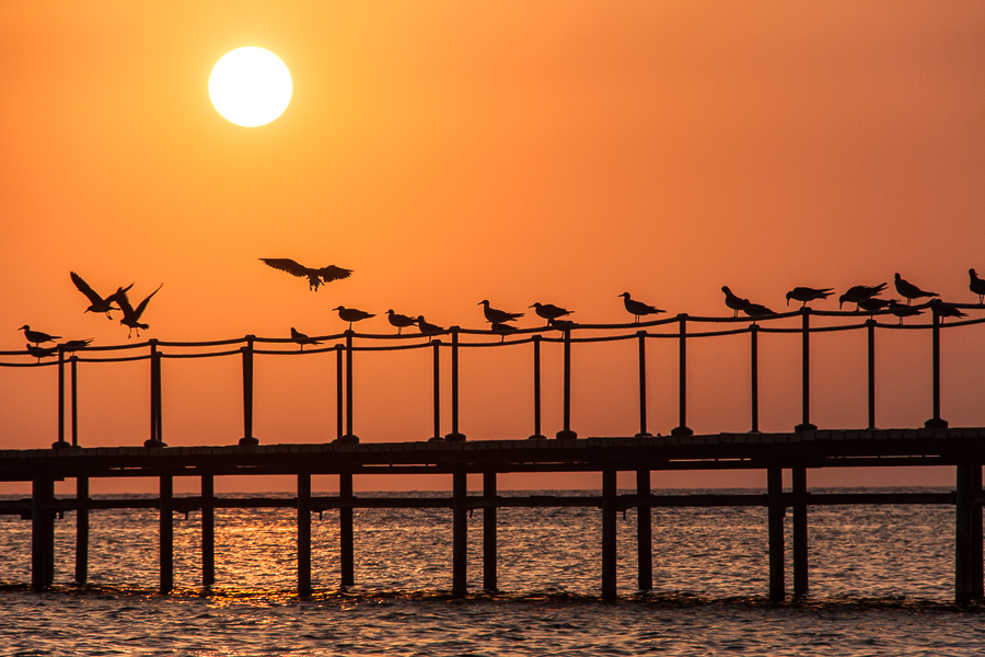 The Wall 11 Egypt, Sharm el Sheik