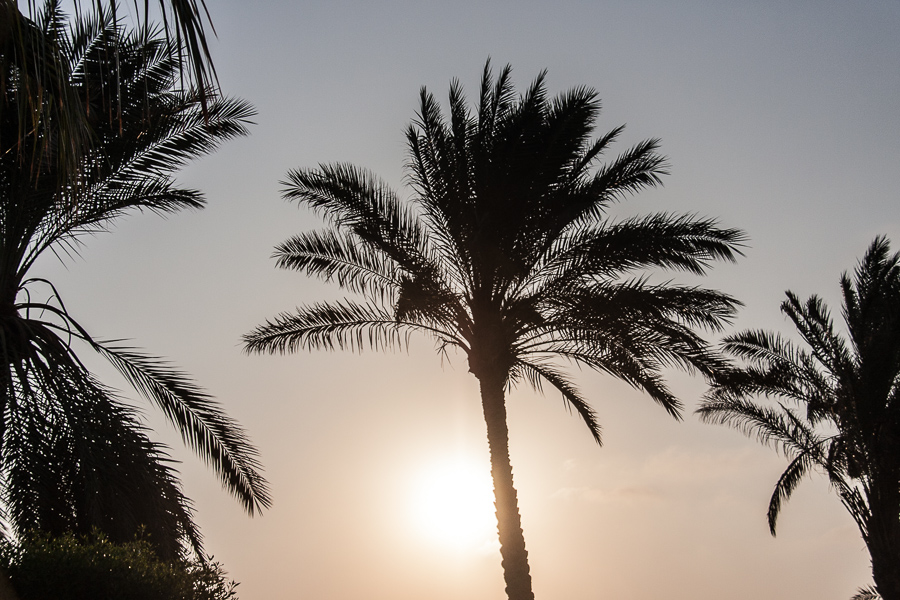 Landscapes 3 Tunisia