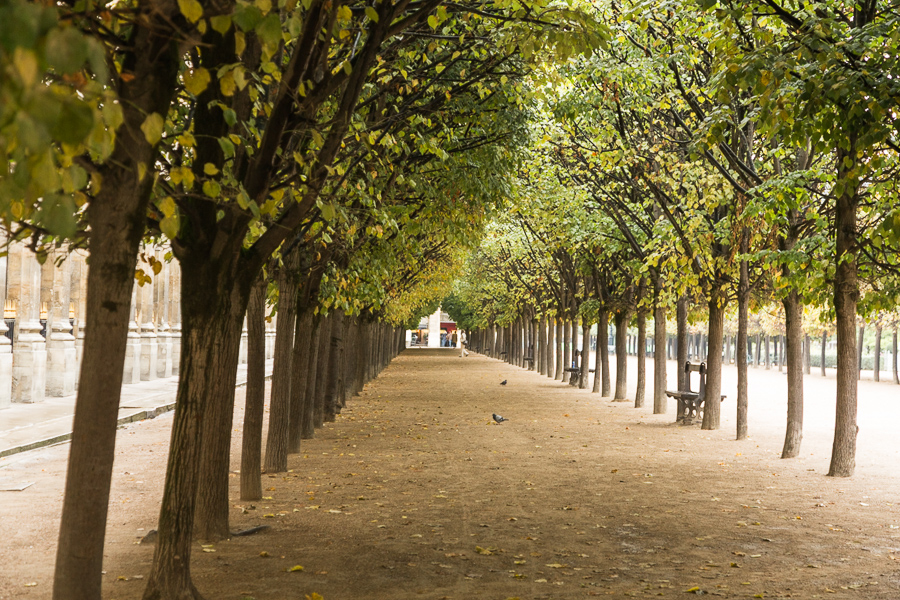 Paris 08